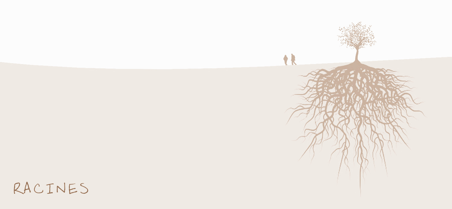 tree_roots-wallpaper-2560x1440